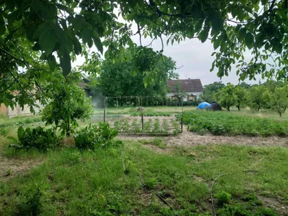 Kelebija | 4zida.rs