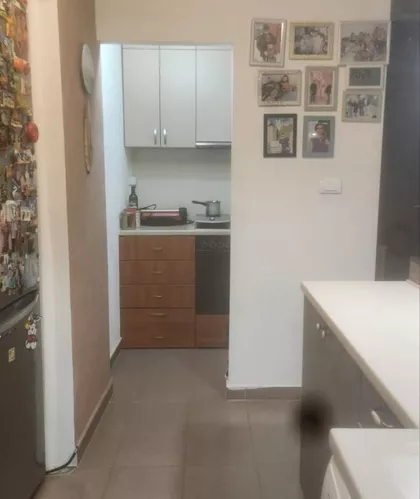 Ulofa Palmea bb | 4zida.rs