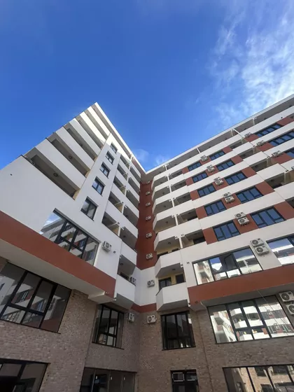 Miodraga Vlajića Šuke | 4zida.rs