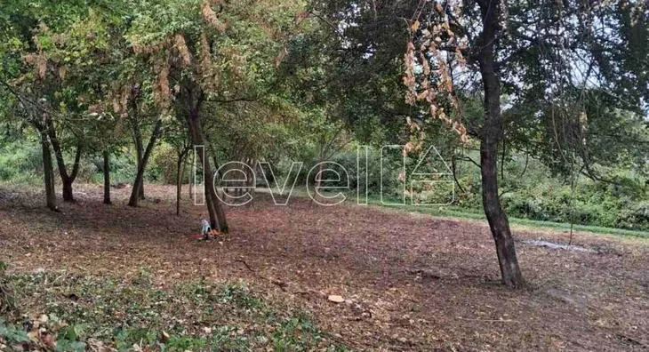 Plac | 4zida