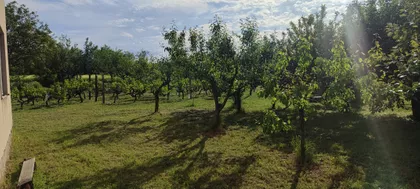 Vidovdanska | 4zida.rs