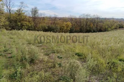 Lazara Jankovića | 4zida.rs