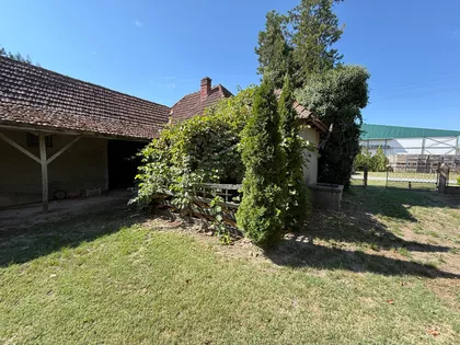 Gornji Tavankut | 4zida.rs