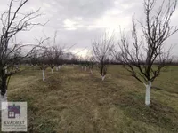 Poljoprivredno zemljište | 4zida