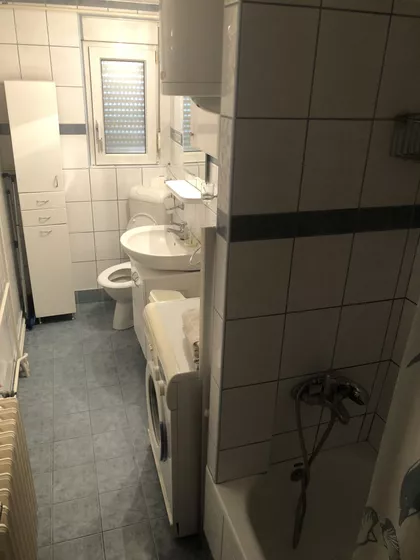 Luja Adamiča | 4zida.rs