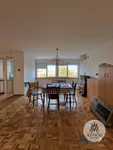 Liman 3, Liman, Gradske lokacije, Novi Sad | 4zida.rs | 4zida.rs