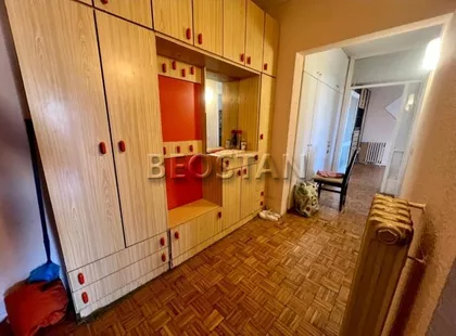 Dr Ivana Ribara | 4zida.rs