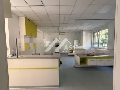 Zmaj Ognjena Vuka | 4zida.rs