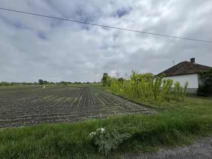 Bački Vinogradi | 4zida.rs
