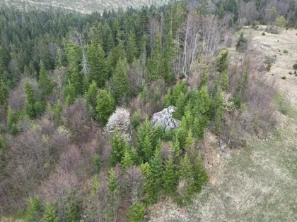 Zlatibor | 4zida.rs