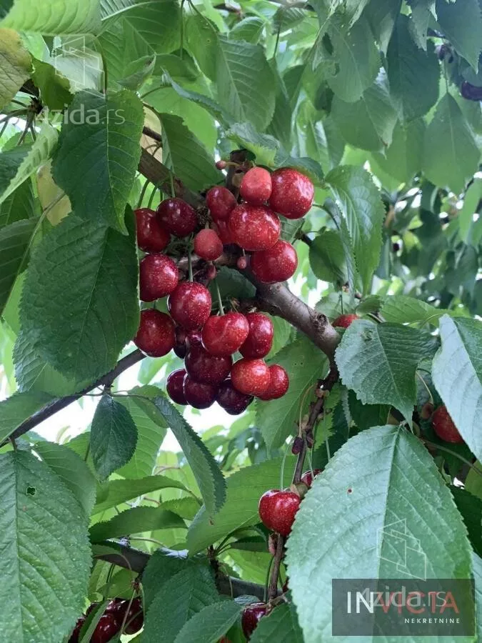 Poljoprivredno zemljište | 4zida