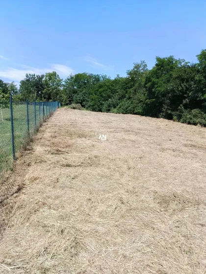 Dragomira Velikića | 4zida.rs