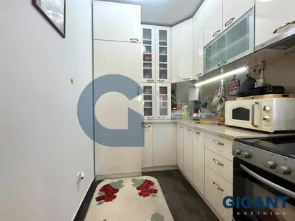 Miodraga Živanova | 4zida.rs