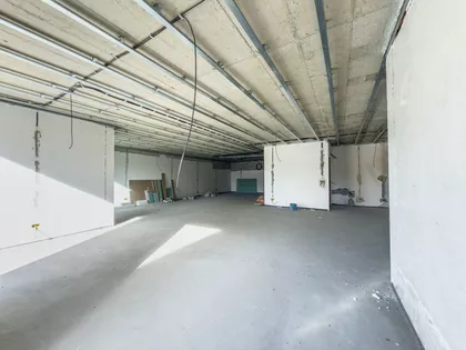 Cara Dušana | 4zida.rs