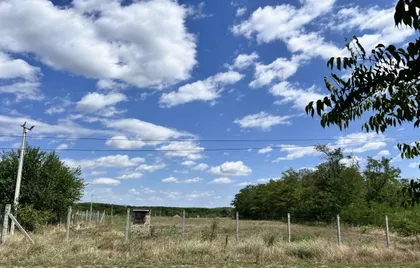 Radanovac | 4zida.rs