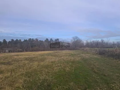 Belova jaruga | 4zida.rs