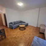 Bulevar Evrope, Gradske lokacije, Novi Sad | 4zida.rs | 4zida.rs