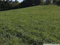 Ripanj, Voždovac opština, Beograd | 4zida.rs
