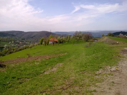 Umina Voda | 4zida.rs