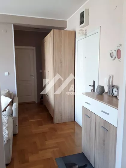 Vojvode Šupljikca | 4zida.rs