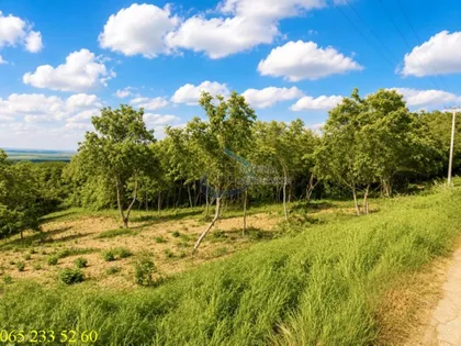 Potes Janda | 4zida.rs