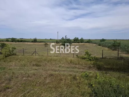 Čenej | 4zida.rs