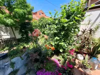 Bežanijska kosa 1, Bežanijska kosa, Novi Beograd, Beograd | 4zida.rs
