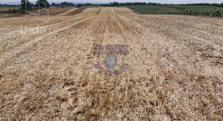 Poljoprivredno zemljište | 4zida