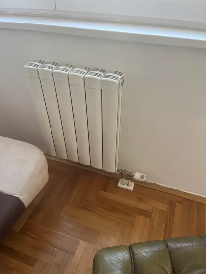 Mileve Marić Ajnštajn 80 | 4zida.rs