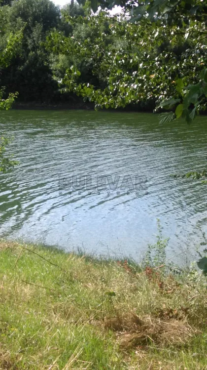 Žunje | 4zida.rs