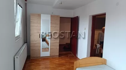 Petra Lubarde | 4zida.rs