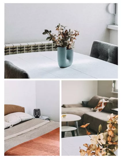 Tikveška | 4zida.rs