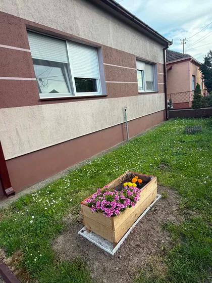 Lazara Vojinovića | 4zida.rs