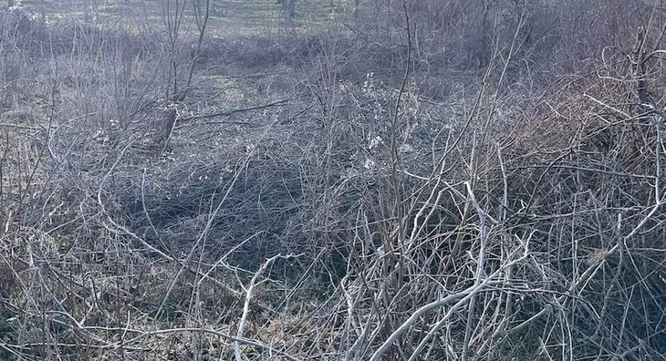 Poljoprivredno zemljište | 4zida