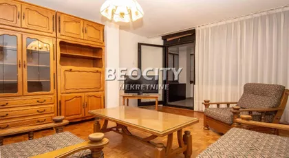 Dr Ivana Ribara | 4zida.rs