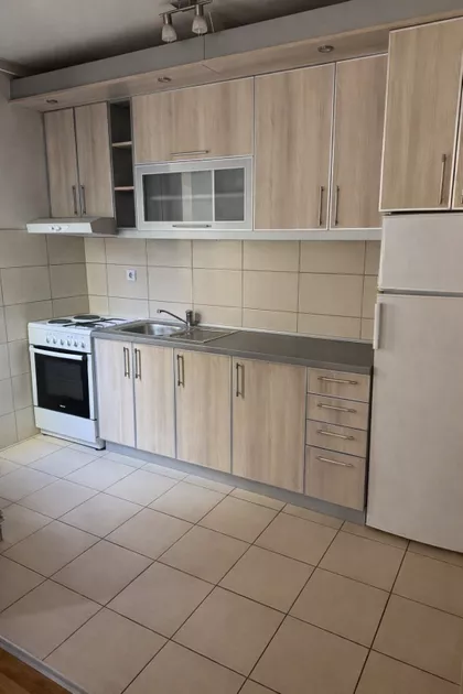 Luja Pastera | 4zida.rs