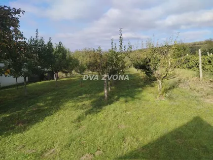 Novi Slankamen | 4zida.rs