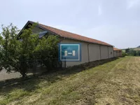 Hala | 4zida
