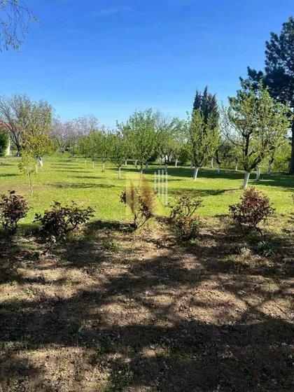 Fruška Gora | 4zida.rs