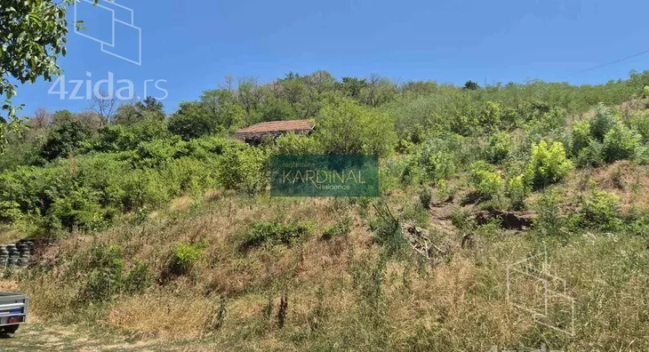 Plac | 4zida