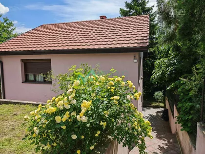 Čortanovci | 4zida.rs