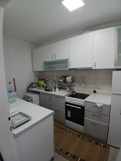 Nestora Žučnog | 4zida.rs