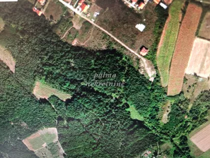 Male Pčelice | 4zida.rs