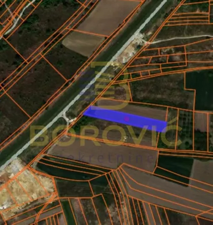 Ostružnica | 4zida.rs