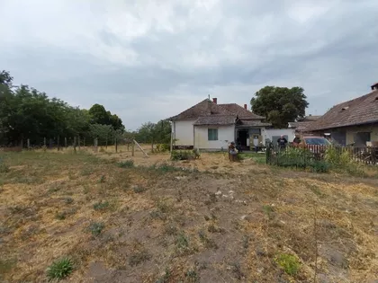 Bački Vinogradi | 4zida.rs