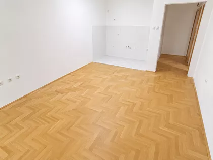 Teodora Pavlovića | 4zida.rs