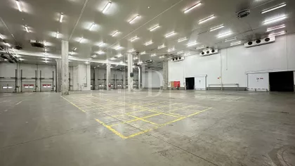 Blok 31 - Opština | 4zida.rs