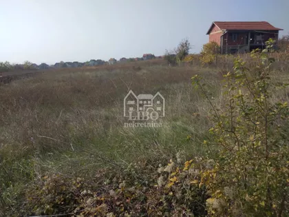 Branko Bjegović | 4zida.rs