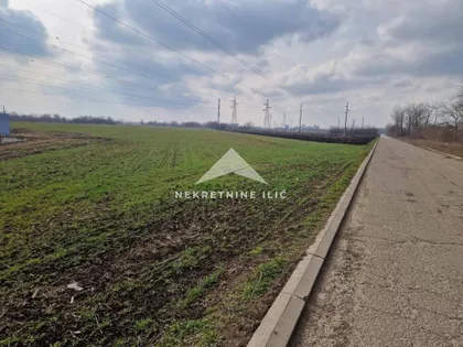 Zeleno Polje | 4zida.rs