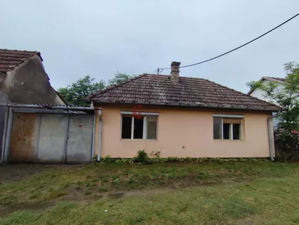 Zorka | 4zida.rs